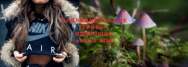 бошки Майский