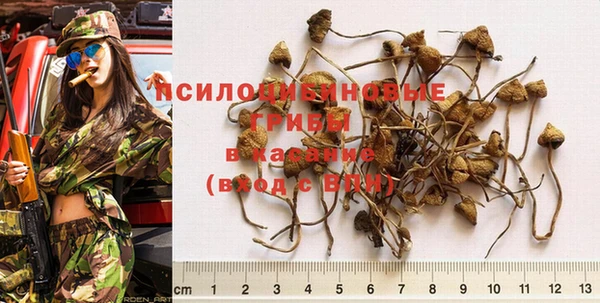 бошки Майский
