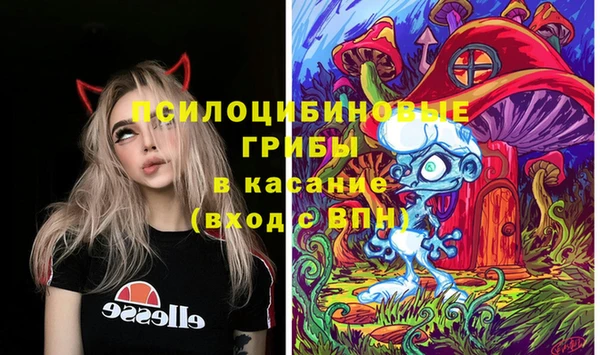 apvp Магас